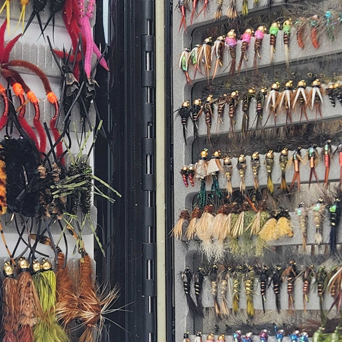 What Flies Should I Use? A Beginner’s Guide to Choosing the Right Fly