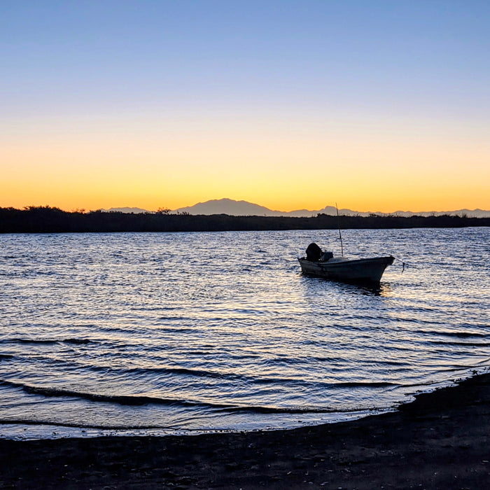 Baja Marlin - 2025 Trip Review