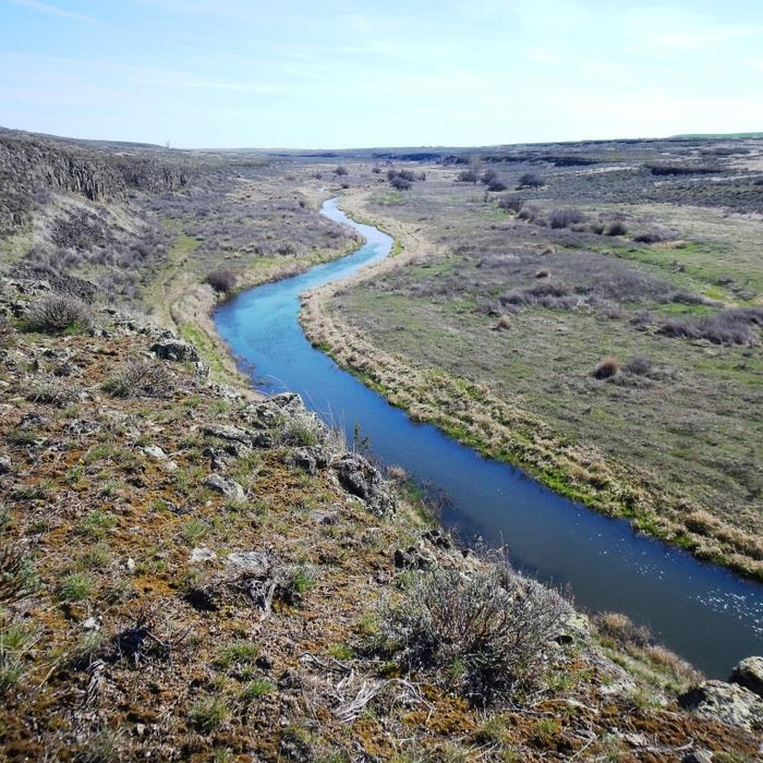 Where to Fish - Rocky Ford Creek, WA