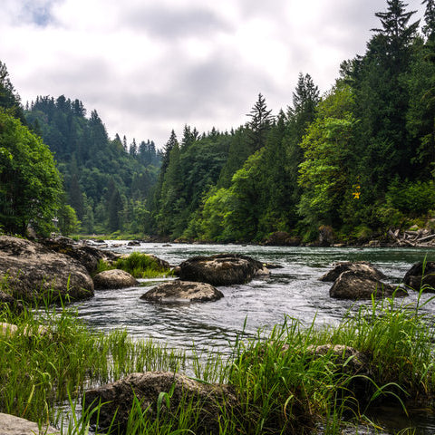 Where to Fish - Snoqualmie River (Upper Forks), Washignton