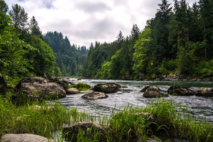 Where to Fish - Snoqualmie River (Upper Forks), Washignton