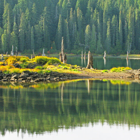 Where to Fish in the Hood River area - Goose Lake