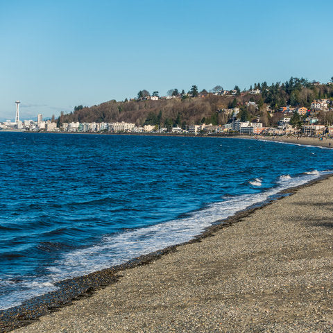 Fly Fishing in Seattle
