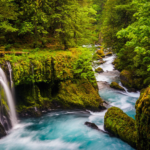 Where to Fish in the Hood River area - Little White Salmon (above Drano Lake)