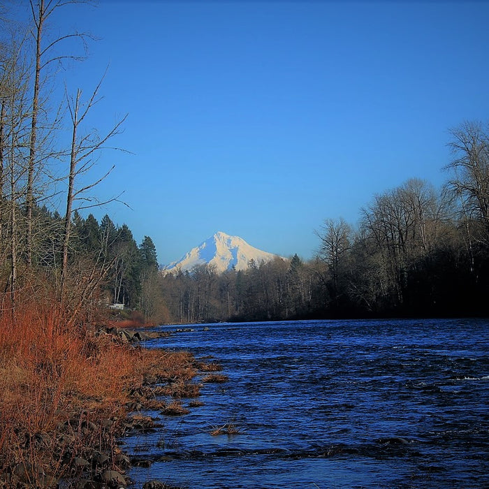 Where to Fish in the Hood River area - Clackamas River