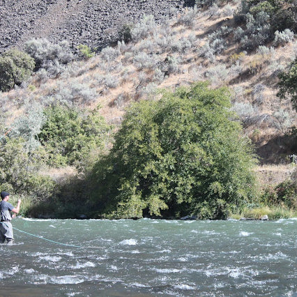 Seven Things You Need to Get Started Fly Fishing