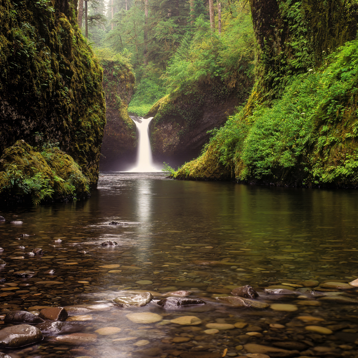Where to Fish in the Hood River area- Eagle Creek (near Cascade Locks, OR)