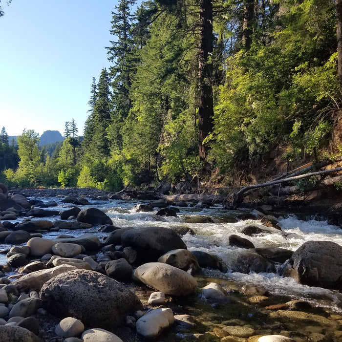Where to Fish in the Hood River area - Trout Lake Creek