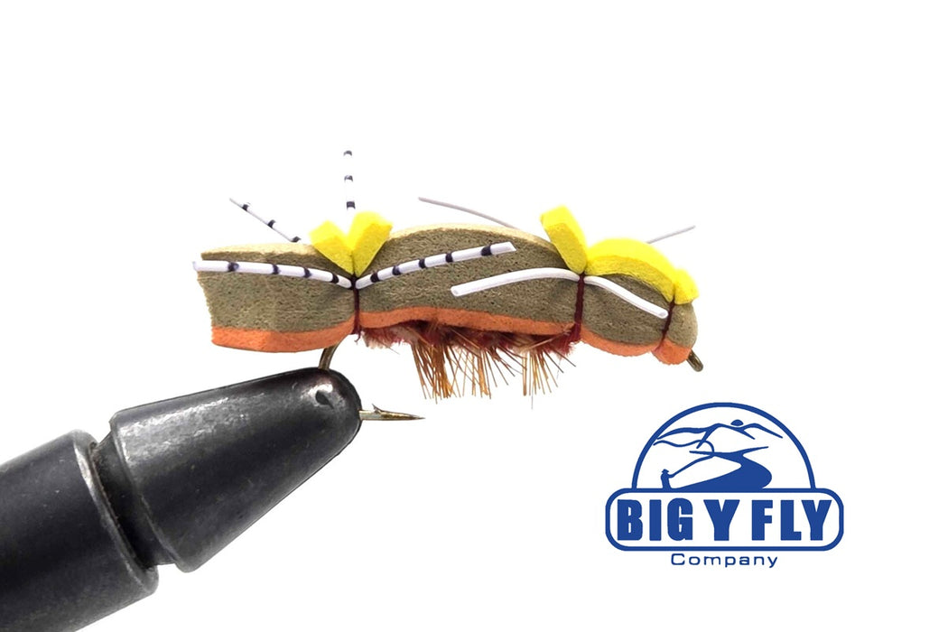 Snake River Chernobyl Ant