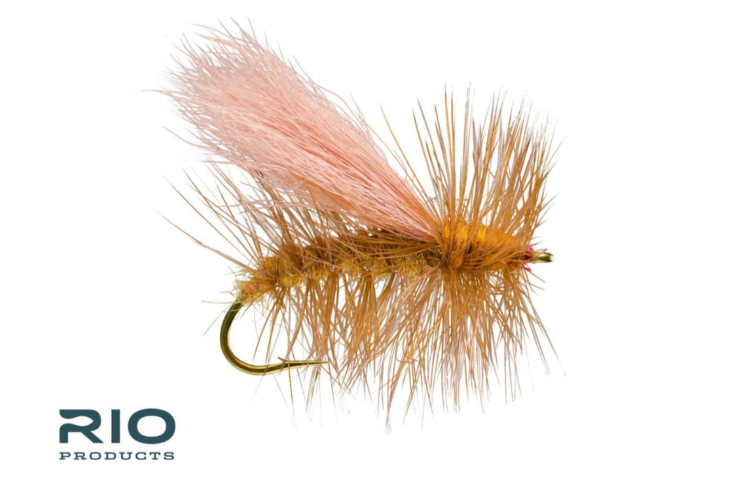 Norm Woods Special - RIO