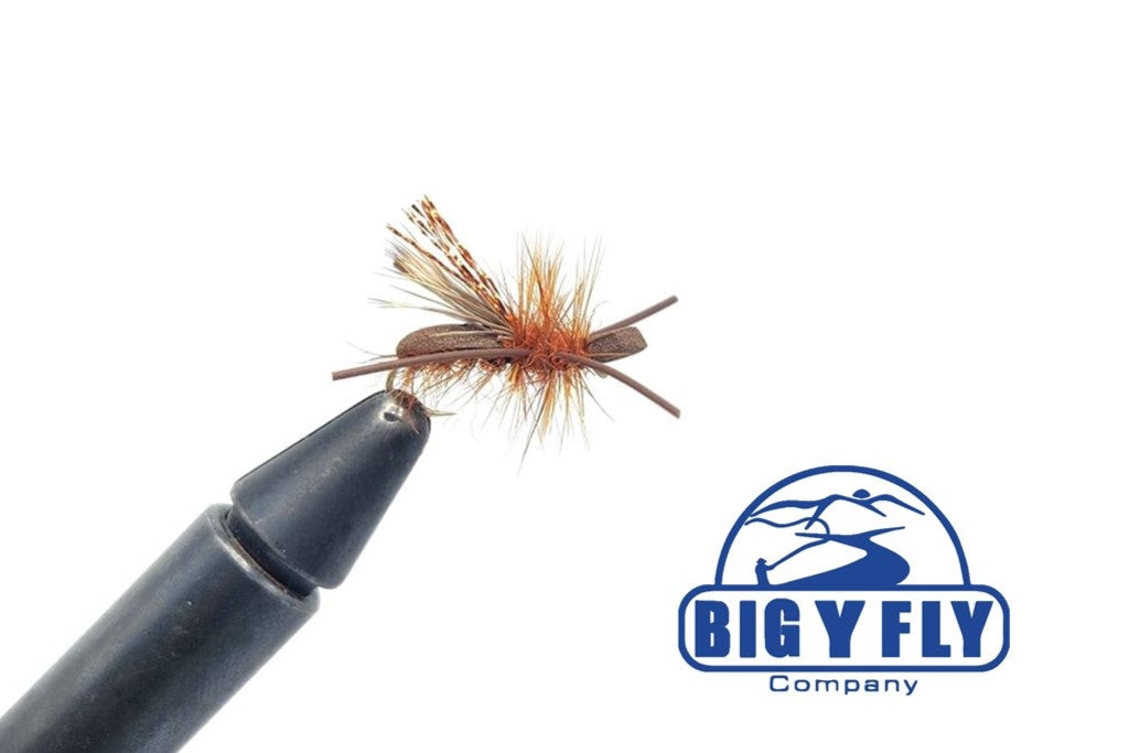 October Foamback - By Cade Cummings