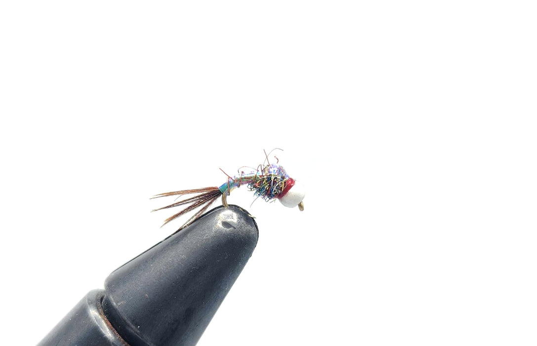 Rainbow Warrior - Tungsten