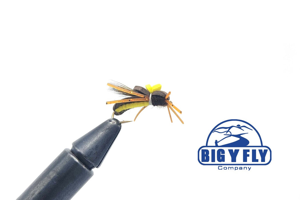 Llano Bug