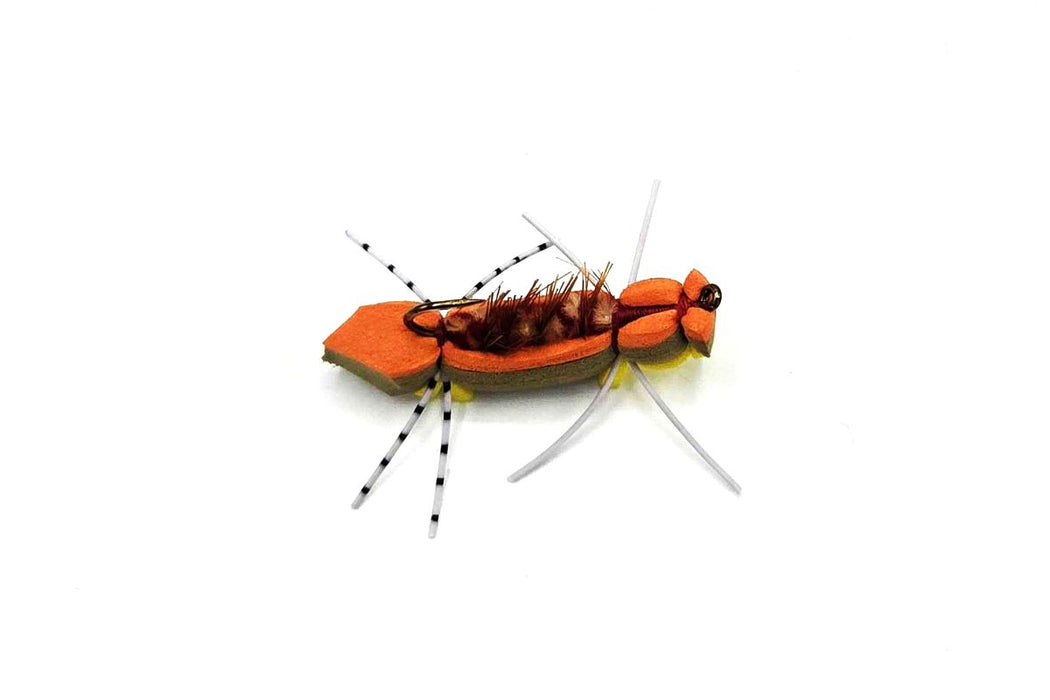 Snake River Chernobyl Ant