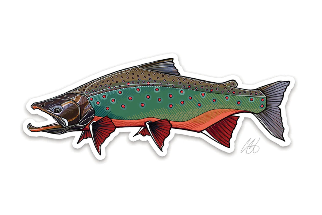 Casey Underwood Artwork - Arctic Char Decal