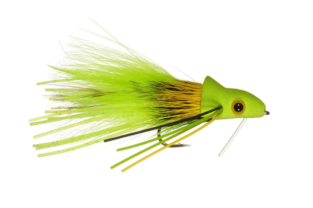 Joom Diver - Rainy's