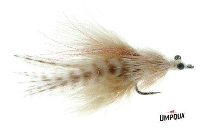 Laid-Up Tarpon--Umpqua