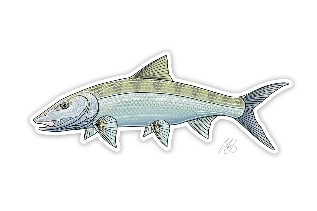 Casey Underwood Artwork - Bonefish Decal
