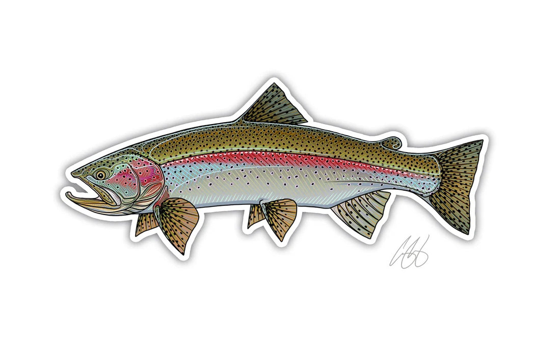 Casey Underwood Artwork - Rainbow Trout Decal