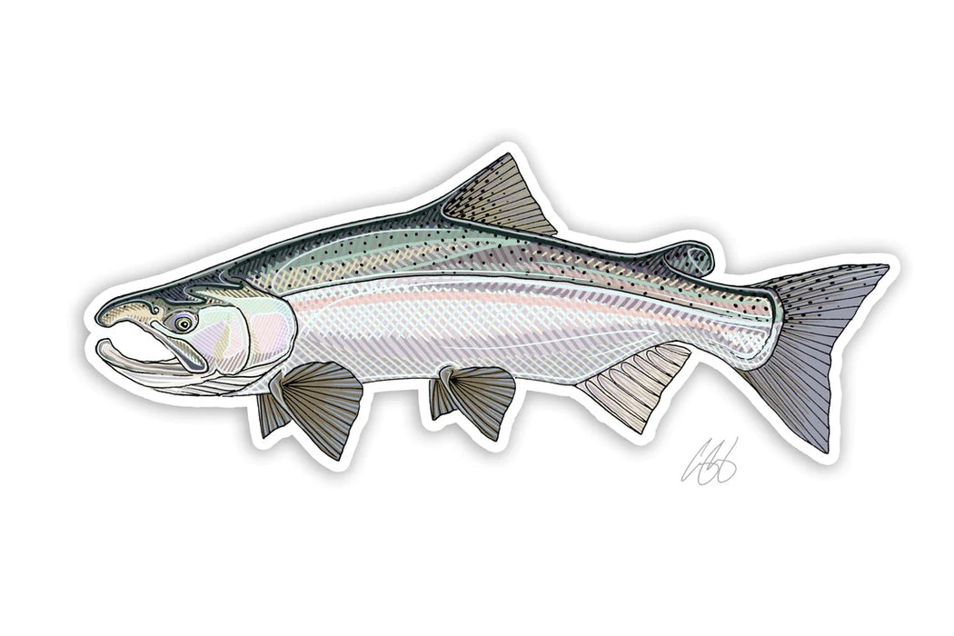 Casey Underwood Artwork - Coho Salmon Decal