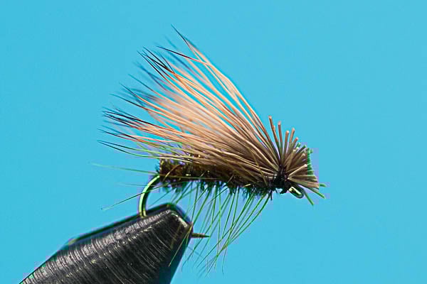 Elk Hair Caddis