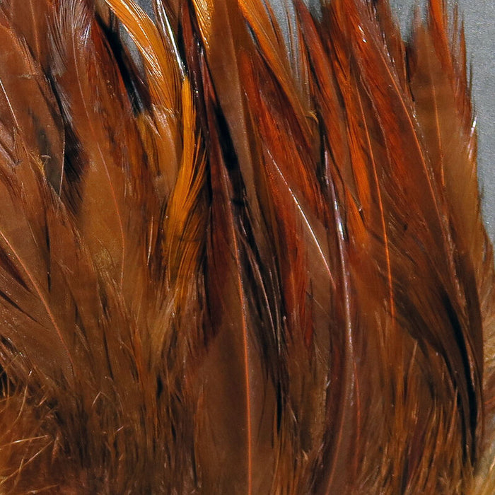 Strung Saddle Hackle 5-7"--Hareline