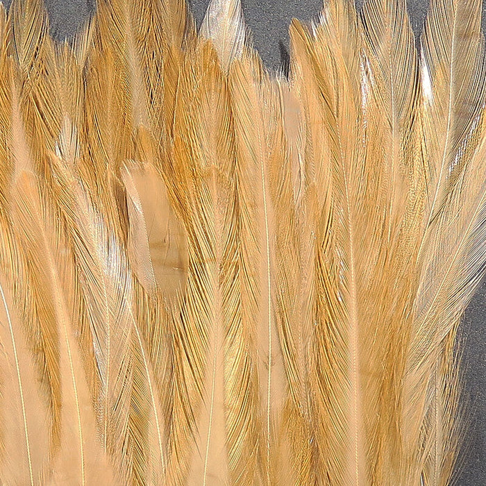 Strung Saddle Hackle 5-7"--Hareline