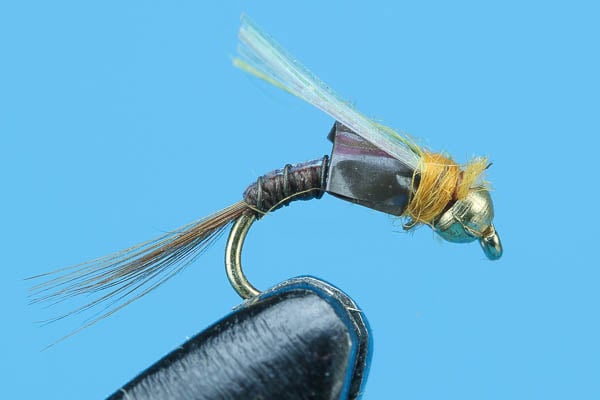 Cosmic Baetis - Tungsten