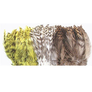 Barred Neck Hackle--Wapsi