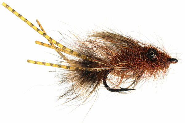 Barry's Carp Bitter - Umpqua