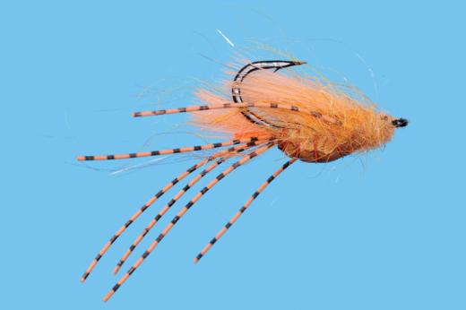 Belly Crawl - Solitude