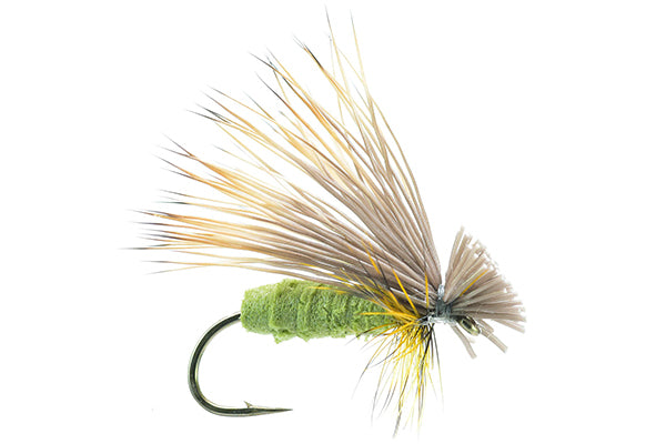 Better Foam Caddis - Umpqua