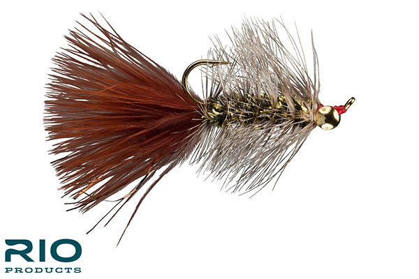 Big Eye Bugger - RIO