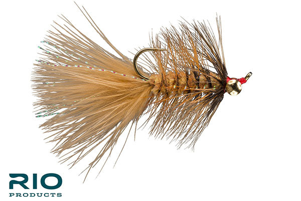 Big Eye Bugger - RIO