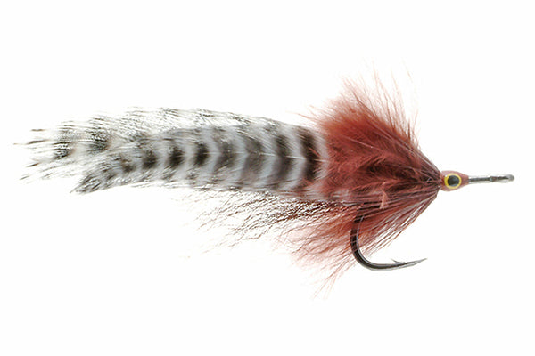 Big Eye Tarpon - Umpqua