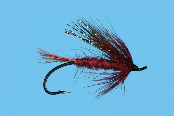 Brazilian - Solitude