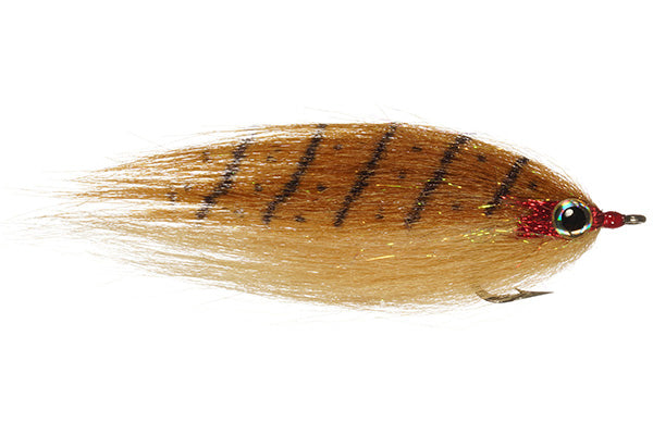 CF Baitfish - Rainy's