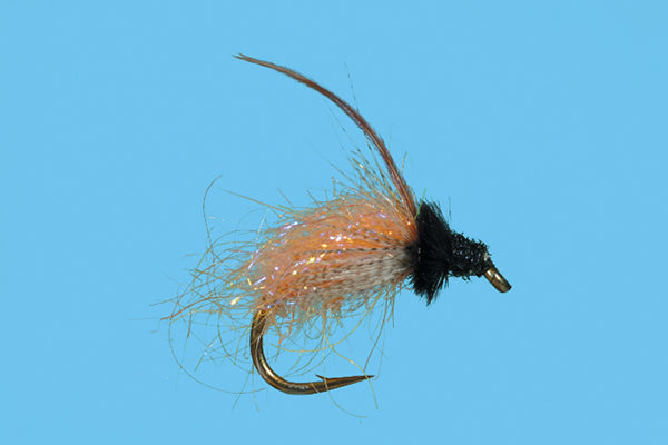 Caddis-October - Solitude