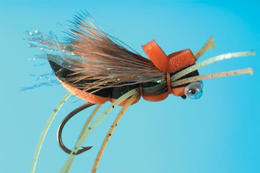 Cicadicator - Solitude