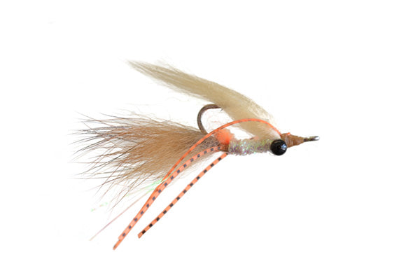 Colby's Pig Farm Shrimp - Rainy's