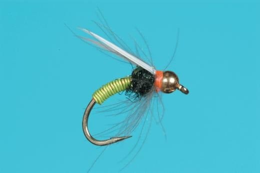 Copper Swan - Solitude