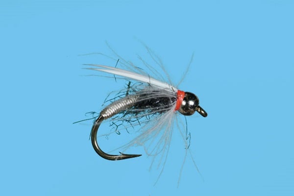 Copper Swan - Solitude