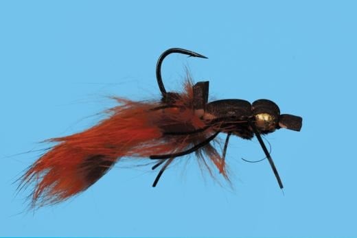 Crayfish Bunny - Solitude