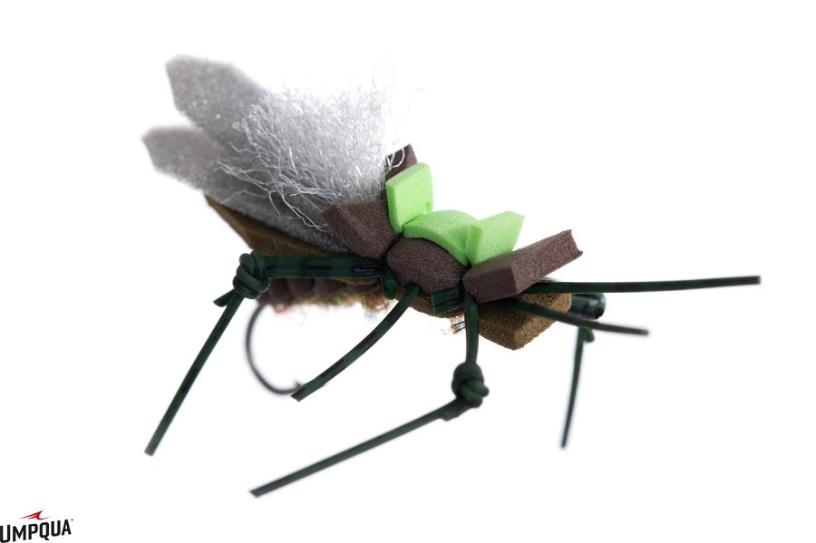 Dancin' Ricky Skwala--Umpqua