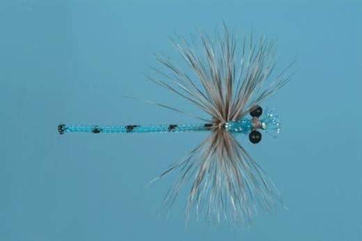 Damsel Blue Adult - Solitude