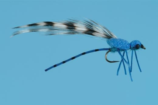 Damsel Egg Laying - Solitude