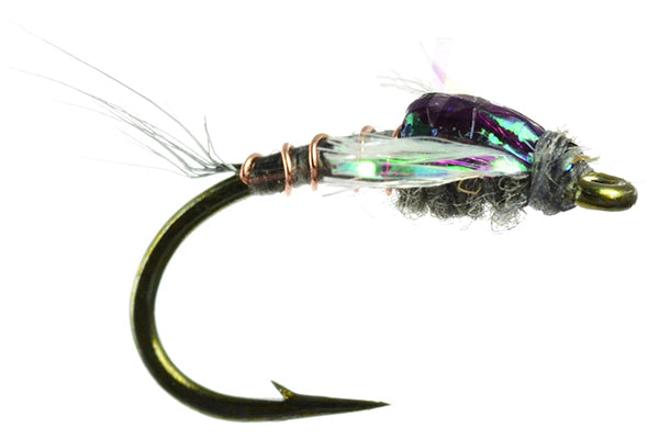 Darth Baetis - Umpqua