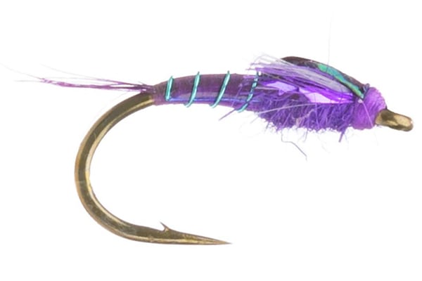 Darth Baetis - Umpqua