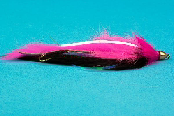 Dolly Llama Gold Cone