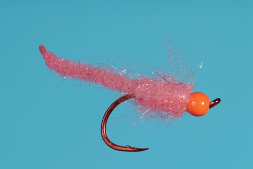 Egg Larva - Solitude